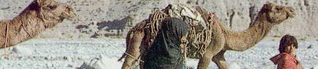 balouchistan camel.jpg Pakistan travel and tours and hotel reservations